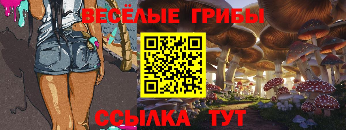 Псилоцибиновые грибы Cubensis  Вход с VPN  Полевской  Галлюциногенные грибы GOLDEN TEACHER 